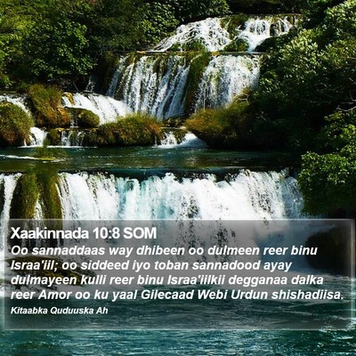 Xaakinnada 10:8 SOM Bible Verse Image