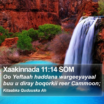 Xaakinnada 11:14 SOM Bible Verse Image