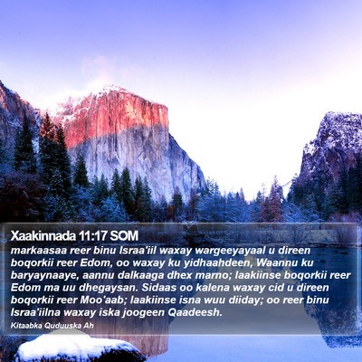Xaakinnada 11:17 SOM Bible Verse Image
