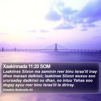 Xaakinnada 11:20 SOM Bible Verse Image