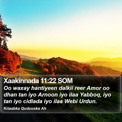 Xaakinnada 11:22 SOM Bible Verse Image