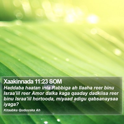 Xaakinnada 11:23 SOM Bible Verse Image