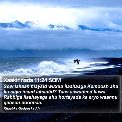 Xaakinnada 11:24 SOM Bible Verse Image