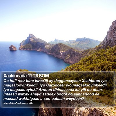 Xaakinnada 11:26 SOM Bible Verse Image