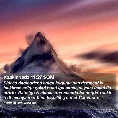 Xaakinnada 11:27 SOM Bible Verse Image
