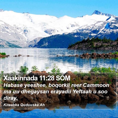Xaakinnada 11:28 SOM Bible Verse Image