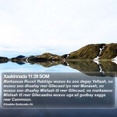 Xaakinnada 11:29 SOM Bible Verse Image