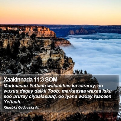 Xaakinnada 11:3 SOM Bible Verse Image