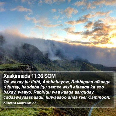 Xaakinnada 11:36 SOM Bible Verse Image