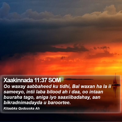 Xaakinnada 11:37 SOM Bible Verse Image