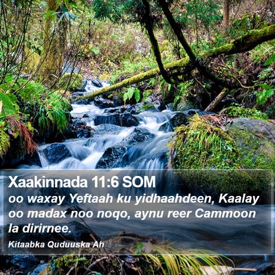 Xaakinnada 11:6 SOM Bible Verse Image