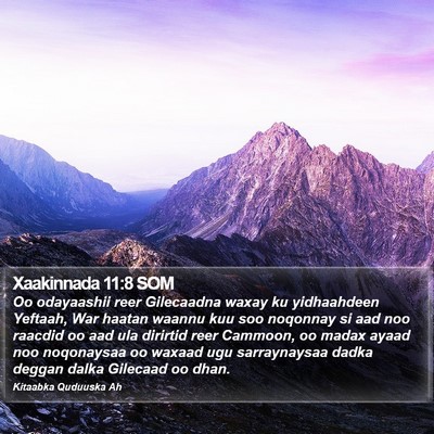 Xaakinnada 11:8 SOM Bible Verse Image