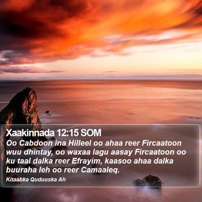Xaakinnada 12:15 SOM Bible Verse Image