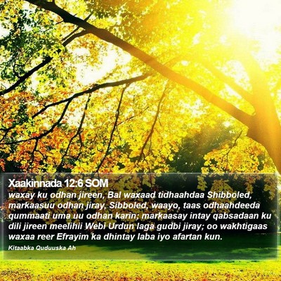 Xaakinnada 12:6 SOM Bible Verse Image