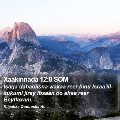 Xaakinnada 12:8 SOM Bible Verse Image