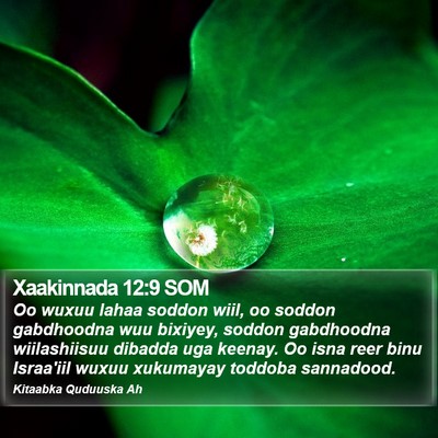 Xaakinnada 12:9 SOM Bible Verse Image