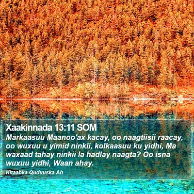 Xaakinnada 13:11 SOM Bible Verse Image