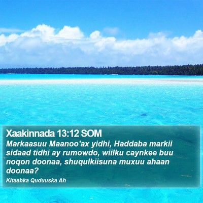 Xaakinnada 13:12 SOM Bible Verse Image