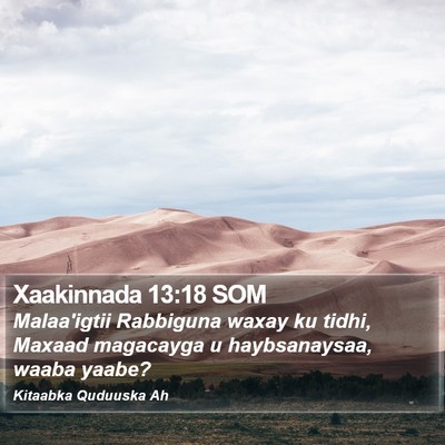 Xaakinnada 13:18 SOM Bible Verse Image