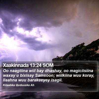 Xaakinnada 13:24 SOM Bible Verse Image