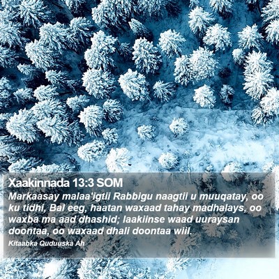 Xaakinnada 13:3 SOM Bible Verse Image