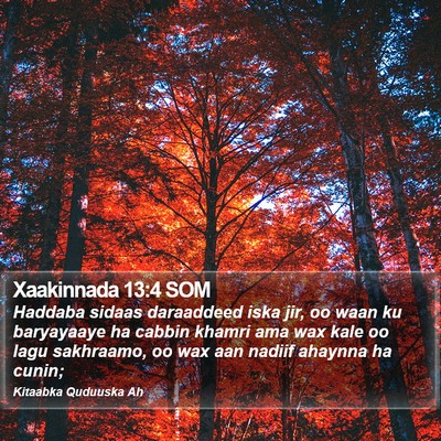 Xaakinnada 13:4 SOM Bible Verse Image