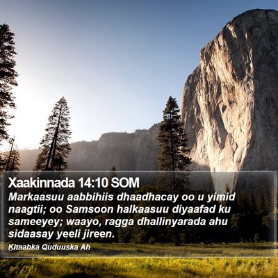 Xaakinnada 14:10 SOM Bible Verse Image