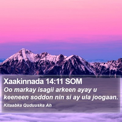 Xaakinnada 14:11 SOM Bible Verse Image