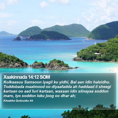 Xaakinnada 14:12 SOM Bible Verse Image