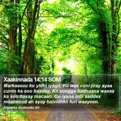 Xaakinnada 14:14 SOM Bible Verse Image
