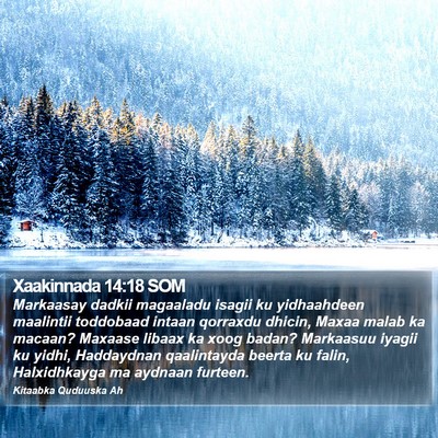 Xaakinnada 14:18 SOM Bible Verse Image