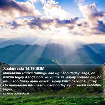 Xaakinnada 14:19 SOM Bible Verse Image