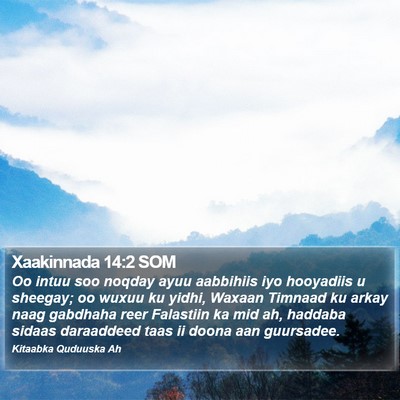 Xaakinnada 14:2 SOM Bible Verse Image