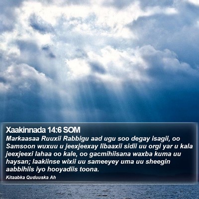 Xaakinnada 14:6 SOM Bible Verse Image