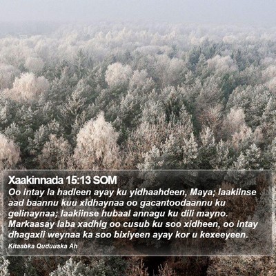 Xaakinnada 15:13 SOM Bible Verse Image