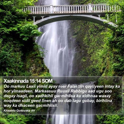 Xaakinnada 15:14 SOM Bible Verse Image