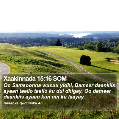 Xaakinnada 15:16 SOM Bible Verse Image