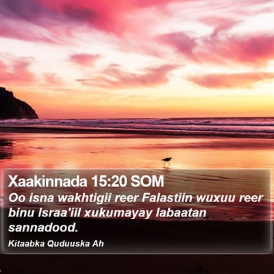 Xaakinnada 15:20 SOM Bible Verse Image