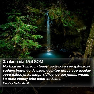 Xaakinnada 15:4 SOM Bible Verse Image