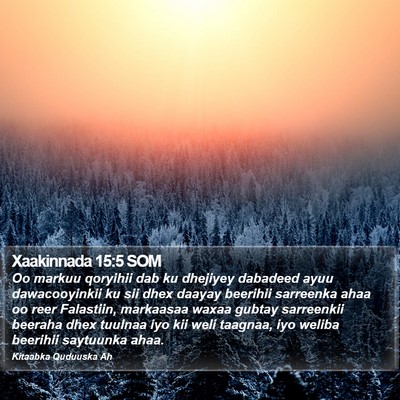 Xaakinnada 15:5 SOM Bible Verse Image
