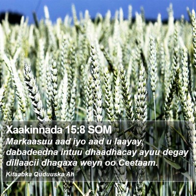 Xaakinnada 15:8 SOM Bible Verse Image