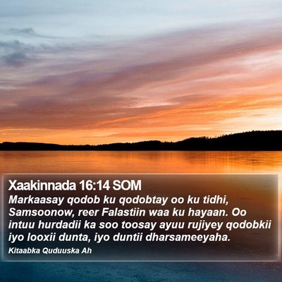 Xaakinnada 16:14 SOM Bible Verse Image