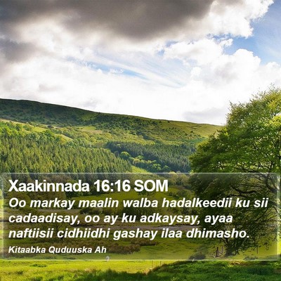 Xaakinnada 16:16 SOM Bible Verse Image
