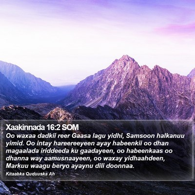 Xaakinnada 16:2 SOM Bible Verse Image