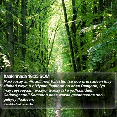 Xaakinnada 16:23 SOM Bible Verse Image