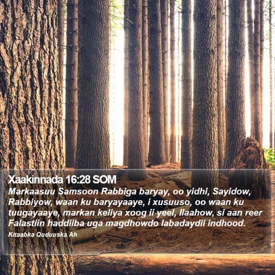 Xaakinnada 16:28 SOM Bible Verse Image