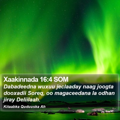 Xaakinnada 16:4 SOM Bible Verse Image