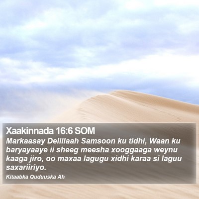 Xaakinnada 16:6 SOM Bible Verse Image