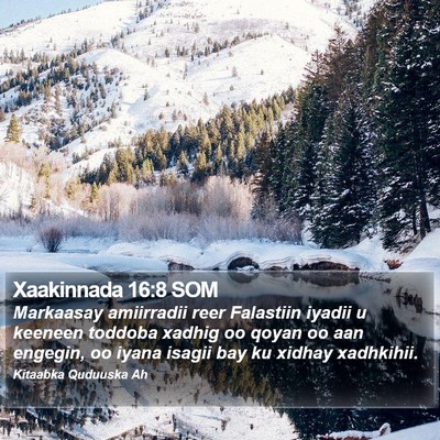 Xaakinnada 16:8 SOM Bible Verse Image