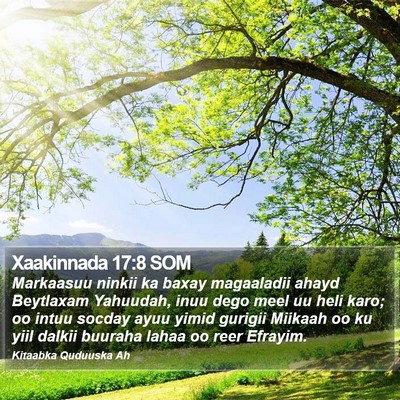 Xaakinnada 17:8 SOM Bible Verse Image